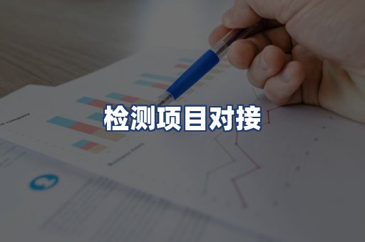 检测项目对接