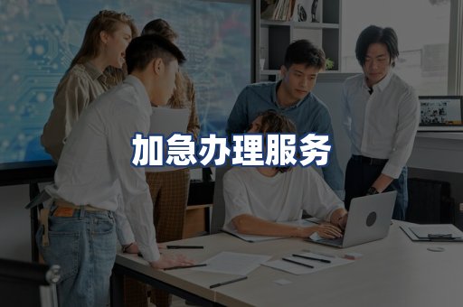 加急办理服务